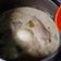 Cooksnap dari citra cemplux untuk resep Opor Ayam