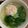 Yibo 的 鮮蝦雲吞 cooksnap