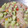 Cooksnap dari Rantii@gmail.com Pujiastuti untuk resep Sayur Oyong Sederhana
