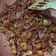 Cooksnap dari Ella Lailla untuk resep Ayam Teriyaki ala Hokben