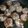 Valorie Nowlin's cooksnap of when they made My Favorite Meatballs!.