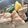Cooksnap Norida Alias semasa beliau membuat Ayam Masak Kurma.