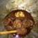 Cooksnap dari Indri Wulandari untuk resep Rendang daging sapi