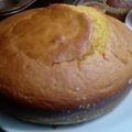 El cooksnap de Erica Mena cuando hizo Torta de mandarina en licuadora.