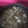 El cooksnap de Sara Lopez cuando hizo Almejas a la marinera.