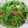 麗麗 的 枸杞蒜香莧菜(簡單料理) cooksnap
