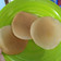 Cooksnap dari Endang Kinasih untuk resep Pancake 🥞 teflon mulus dan mudah