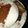 Gracie's cooksnap of when they made Title #endofyearchallenge ugali coconut beans kafry pork.