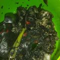 Cooksnap dari Nabilla NH untuk resep Tumis Blakutak / Sontong Hitam