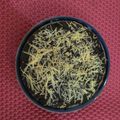 Cooksnap dari Shinta Herliana untuk resep Brownies mini magic com