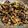 Varsha Ingole Bele's cooksnap of when they made कारल्याची भाजी (karlyachi bhaji recipe in marathi).