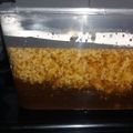 Cooksnap dari Ummu Mubarak untuk resep Agar lumut gula merah / puding lumut Gula merah