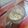 Ashlesha Vora's cooksnap of when they made એપલ મીલ્ક શેક(apple milk shake recipe in Gujarati).