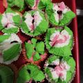 Cooksnap dari Prita Indra untuk resep Bolu Kukus Mekar Sprite Anti Gagal