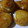 El cooksnap de maria cuando hizo Croquetas de quesos y mango.