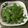 小汶醬 的 【厚生廚房】清炒荷蘭豆 cooksnap