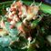 Cooksnap dari Dapur Mba Sum untuk resep Trancam Sayur
