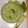 Fio's cooksnap of when they made Pesto ai fiori di zucca e menta.