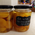 il Chemamma quando ha preparato Albicocche sotto grappa