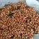 Cooksnap dari Mbak Opik untuk resep Kacang goreng Bawang renyah dan garing