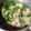 Cooksnap dari IJ Queen untuk resep Bening sawi hijau + bakso