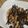Cooksnap MaRulez Arif semasa beliau membuat 👩‍🍳KUIH MUIH : CUCUR MANIS VIRAL SALUT COKLAT🍫.