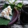 Cooksnap dari Ningnong untuk resep Lupis Ketan