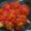 Félix Podina Cooksnap-ja, amikor elkészítette a(z) Paradicsomos húsgombóc 🍅 receptet.
