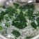 小汶醬 的 莧菜小魚羹 cooksnap