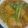 صورة من العسكري الانيق (Aymen)، شاركها بعد تجربة وصفة جلبانة حمراء بالدجاج 🍗🍗