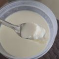 Cooksnap dari E.S untuk resep Plain Yoghurt Homemade