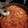 El cooksnap de Elisa González Velarde cuando hizo Espaguetis con hamburguesa.