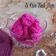 Cooksnap dari Desfita_MamiCay untuk resep Es Krim Stroberi