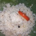 Jaishri hate's cooksnap of when they made जीरा राईस.