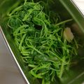 打雜小妹 的 簡單的蒜香白莧菜 cooksnap