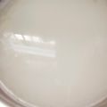 Daksh का कुकस्नैप जब उन्होंने छाछ (chanch recipe in Hindi) बनाया था।