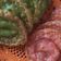 Cooksnap dari Bu Moy untuk resep KUE CUCUR PANDAN [Hanya 4 Bahan]