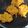 Cooksnap dari Novi untuk resep 🌽 Bakwan Jagung Manis