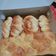 Cooksnap dari Yick Pag-ibig Bewe untuk resep Roti Sobek Ekonomis Lembut