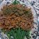 Cooksnap dari Maya Mayski untuk resep Buncis Tumis Daging