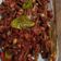 Cooksnap dari riska rachmatika untuk resep Kering Tempe Teri Kacang Pedas Manis