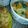 Cooksnap dari Evi Khalisa 🍜DjowoKlaten untuk resep Simple Capcay