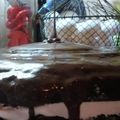 El cooksnap de Gri Lopez cuando hizo Torta Choco-choco.