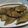 Cooksnap dari dayushan untuk resep Selar Goreng Tepung