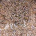 Afshan Shahnawaz's cooksnap of when they made Dam ka keema.