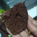 Cooksnap dari Nova Yolanda untuk resep Bolu Coklat Kukus Simpel Ekonomis