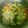 Cooksnap dari Jessy Ningrat untuk resep Sayur sop brokoli