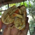 Cooksnap dari nuy untuk resep Cireng Isi ayam suwir pedas