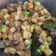 Cooksnap dari Dian Mustika untuk resep Sambal goreng kentang ati ampela pete