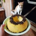 Cooksnap dari Masakasik (Akun Sharing - Sesuai Rules) untuk resep Bolu Kukus Susu Oreo - Moist & Simple